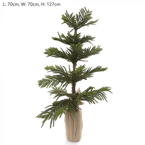 Florabelle Exotic Cypress Tree 127cm | Accessories | app store dev @@ABC ///[option4] 十月五日 11:53 