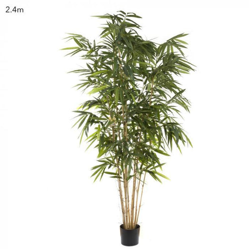 Florabelle Giant Bamboo Tree 2.4m | Accessories | app store dev @@ABC ///[option4] 十月五日 11:53 
