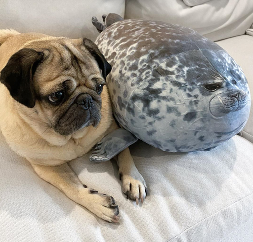 Liberty Homeware brand new product 0914 with variants | Mirrors, Mirrors | app store dev @@ABC with pug///[option4] 十月五日 11:53 